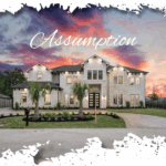 The book of fb posts